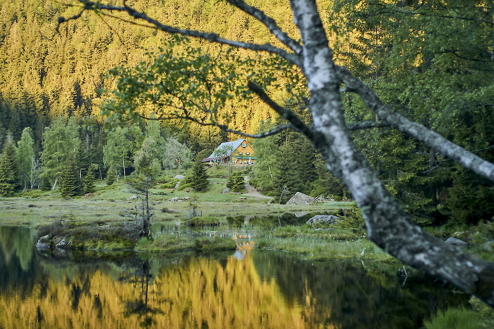 Saisonausklang